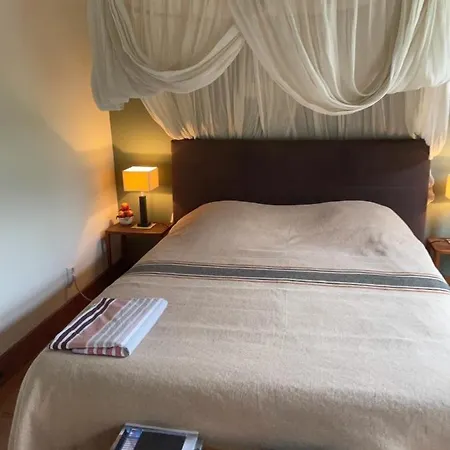 Apple Tree - Charming At Beautiful Canal In Our Idyllic Garden *