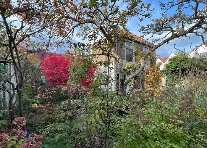 Apple Tree - Charming At Beautiful Canal In Our Idyllic Garden