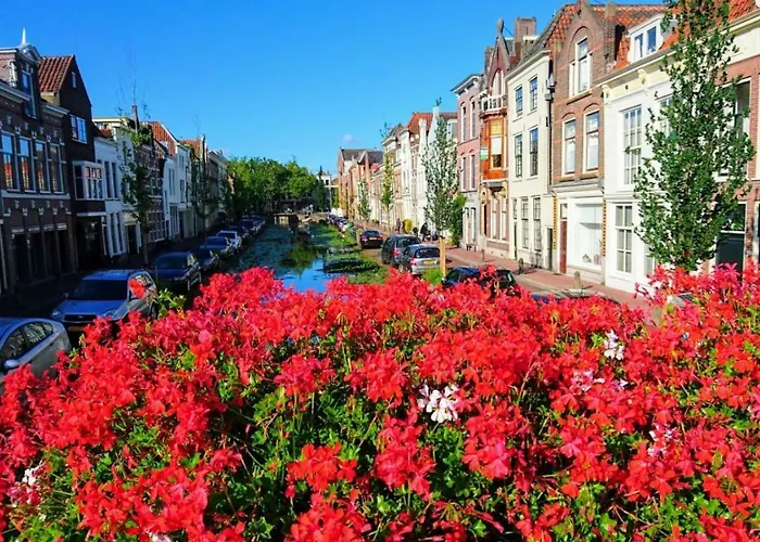 Apple Tree - Charming At Beautiful Canal In Our Idyllic Garden * Gouda