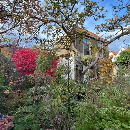 Apple Tree - Charming At Beautiful Canal In Our Idyllic Garden