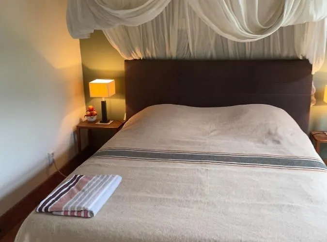 Apple Tree - Charming At Beautiful Canal In Our Idyllic Garden *