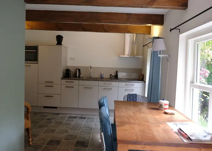 Apple Tree - Charming At Beautiful Canal In Our Idyllic Garden Gouda